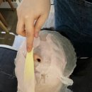 (주)하나수지 | 수지 동천동 피부관리 추천, 주메디컬테라피 플라즈마관리로 만든 유리알 피부결