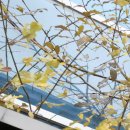 태인치과의원 이미지