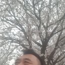 일우경로당 네이버블로그
