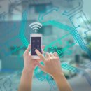 라이온 시티 PC 이미지