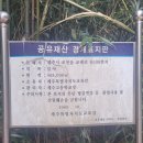 제주바농