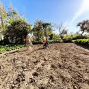 인스나인유치원 이미지