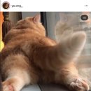 (주)친구네
