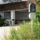 나나의 하루 이미지