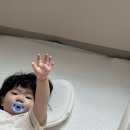 하이벨몽 이미지