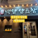 인생은곱창처럼 | 부산 당감동 백양 양곱창, 내돈내산 당감동 맛집 인생 양곱창 솔직 후기