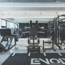 이볼브 트레이닝 이미지