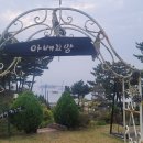 아베끄망 Daum카페
