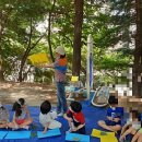 행복한숲생태교육연구소