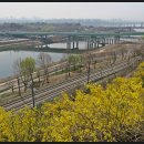 응봉산 팔각정 이미지