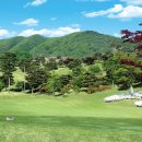 천룡CC(대중제) 이미지