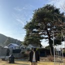 작은마을, 작은숲 이미지