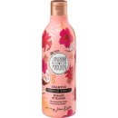 디엠메드 이미지