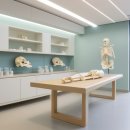 가정신현탑본정형외과의원 | 정형외과에서 알아야 할 주요 건강상식