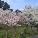 수운근린공원 이미지