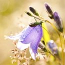 바다가아름다운집 이미지