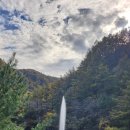 힐링(만인산) | 대전 가을 나들이 장소, 가을 단풍 명소 추천ㅣ만인산 자연휴양림 (아기와 함께하는 숲속 힐링 나들이)