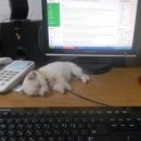 서림음악학원 | 안녕하세요 휴학 홍보대사입니다