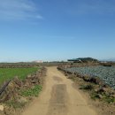 신도리-4 이미지