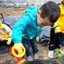 한승농장 이미지