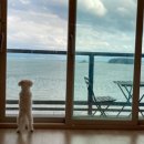 요기가펜션 이미지