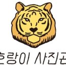 호랑이사진관 이미지