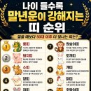 젊을때보다 50대이후 더 빛나는 띠 이미지