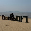 [동막해변 캠핑] 테슬라 모델Y 주니퍼로 차박하기! 강화도 무료 캠핑장 동막해변 야영장 후기