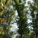 반곡관설동 행정복지센터 이미지