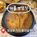 진주본가한방삼계탕 | 유성 삼계탕 맛집 몸보신 제대로 한 유성본가 누룽지삼계탕