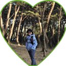 해운대 기술교육원 | 경주 동남산 신라유적 둘레길 트래킹