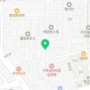 부광퍼피 이미지