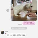 월산약국 | (벌써) 올해가 갔어 X 2