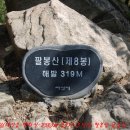 태안읍사무소 Daum카페