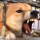 골목길 치킨 이미지