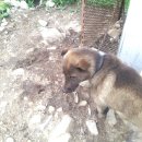 오미자희망마을 이미지