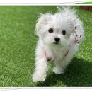 아이조아 요양보호소 서울점 이미지