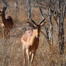 우주모터스 이미지