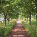 정동1교 이미지