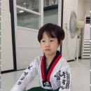 푸른태권도체육관 이미지
