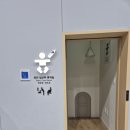 세부여행 후기 1탄] 김해공항에서 세부까지! (스카이허브라운지 후기, 제주항공아기랑, 세부 여행 꿀팁)