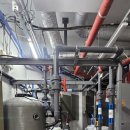 마스터스윔 이미지