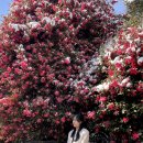 백년대로 256번길 9 | 제주도 설산에 설날까지~ - 2월의 일상