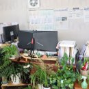 청평공인중개사사무소 이미지