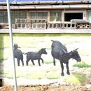 구암2리 이미지