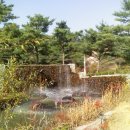 벽천농장 이미지