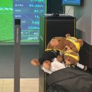 만년 스크린 골프장 이미지