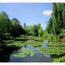 모네의 정원 이미지