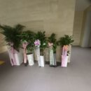 국립전주박물관본관 네이버블로그