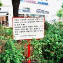 자전거 탈 줄 모르는 여자사람 입문기(4) 노원구 자전거 대여소